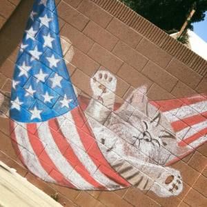 Meet your Posher, Teresa